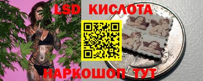 гашик Кимры