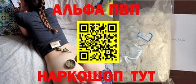 спиды Кингисепп