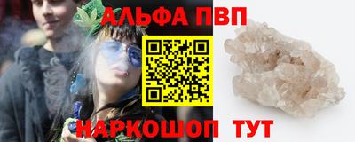 спиды Кингисепп