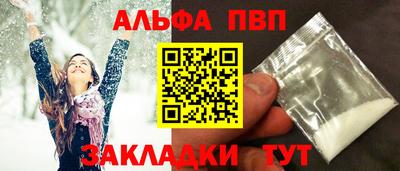 спиды Кингисепп