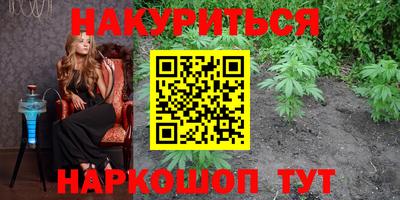 спиды Кингисепп