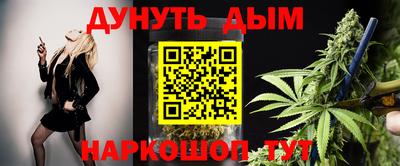 спиды Кингисепп