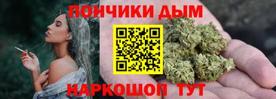 спиды Кингисепп