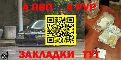 спиды Кингисепп