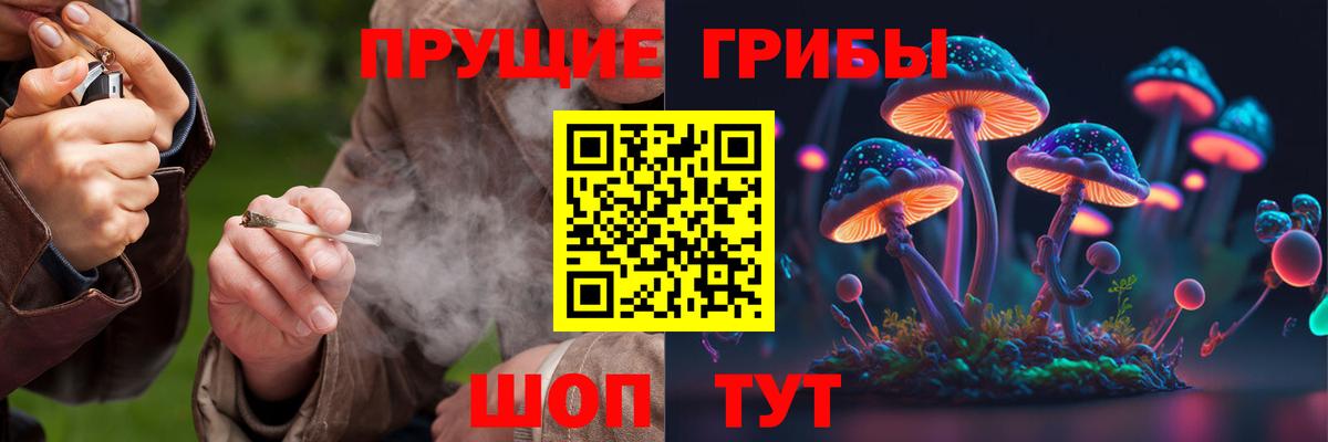 Кострома  Галлюциногенные грибы GOLDEN TEACHER  Вход с VPN  Галлюциногенные грибы Psilocybine cubensis 